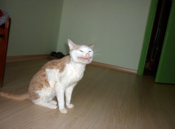 ,         