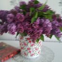 ���� �����, ��������� - ��������� 14 ���� 2015 � ������ ���� ����������