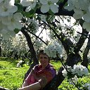 ���� �����, ��������, 56 ��� - ��������� 3 ���� 2015 � ������ ���� ����������