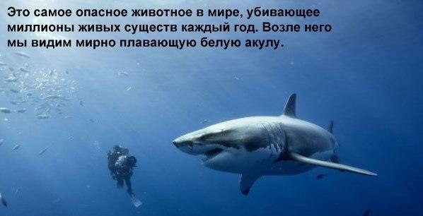 BEST | , ,  - 1  2015  18:07