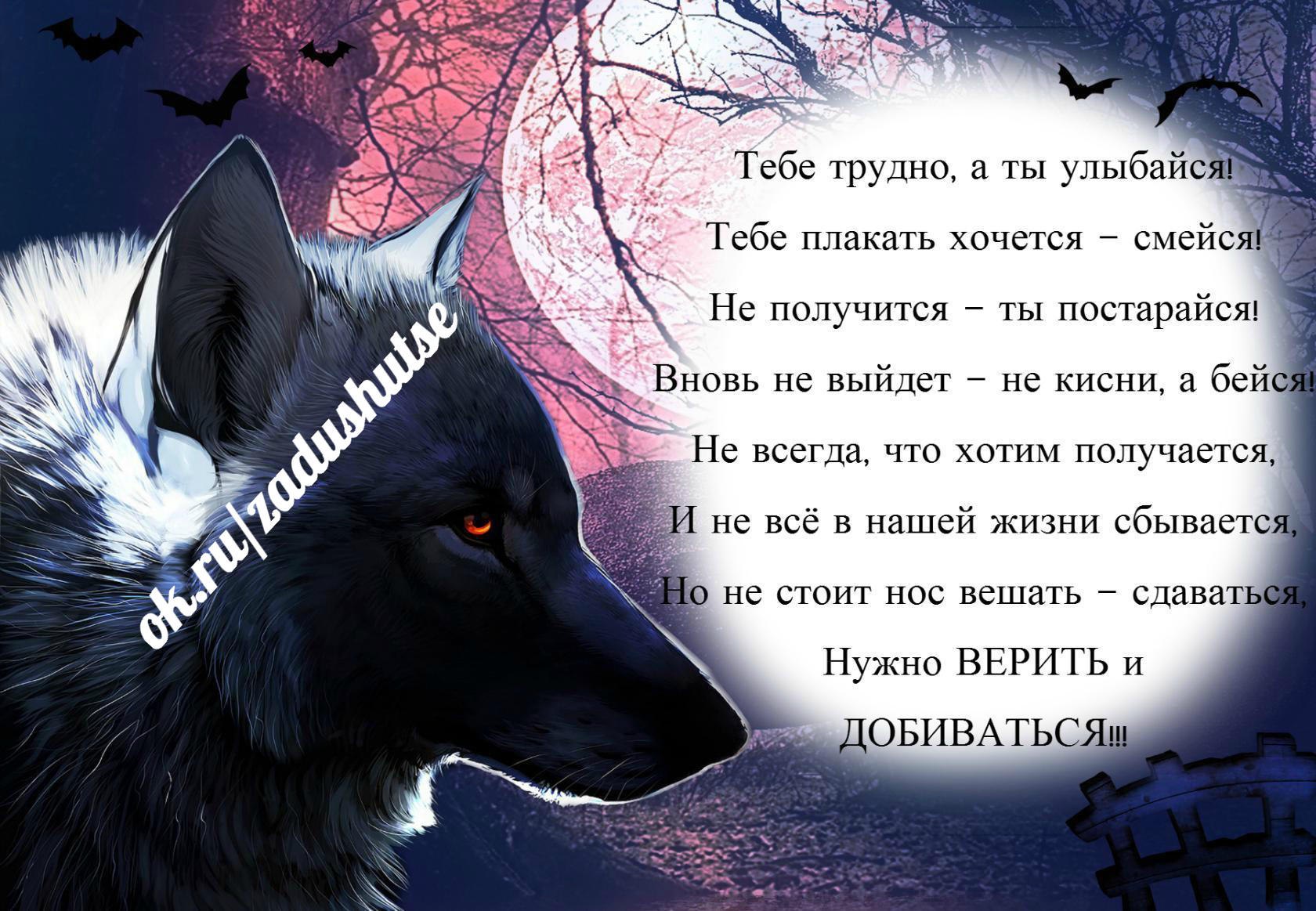 Слова от которых хочется плакать. Смех и плачь. Хочется плакать плачь. Зачем я плачу пред тобой и улыбаюсь. Почему женщина плачет.