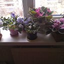 ���� Sergey, ������������, 71 ��� - ��������� 19 �������� 2015 � ������ ���� ����������
