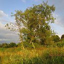 ���� ������, �������, 63 ���� - ��������� 21 ���� 2015 � ������ ���� ����������