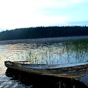     ,   ,   .     ?     ?  (  2011.)    