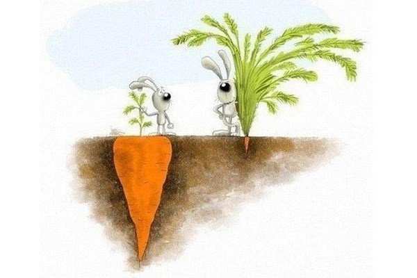 ����� �� ���������� ��������� ��������� �����.