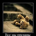 ���� �������, ������, 55 ��� - ��������� 7 �������� 2015 � ������ ��� � ����