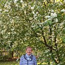 ���� �nn, ������, 61 ��� - ��������� 29 ��� 2015 � ������ ���� ����������