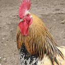 ���� ������, ����������� - ��������� 2 �������� 2015 � ������ ���� ����������