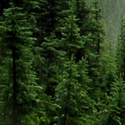  ,  -  28  2015    