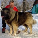  Irishka))),  -  15  2015     ))))