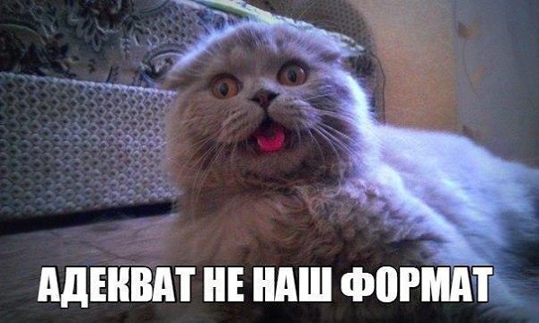       - 10  2015  16:03