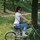 ���� �������, ��������, 43 ���� - ��������� 26 ���� 2015 � ������ ���� ����������