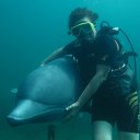  , , 67  -  30  2015    -  - 2015