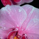���� �������, ������, 65 ��� - ��������� 22 �������� 2015 � ������ ���� ����������