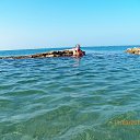  , --, 75  -  14  2015    