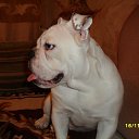 ���� �����, ������������, 48 ��� - ��������� 1 ���� 2015 � ������ ����������