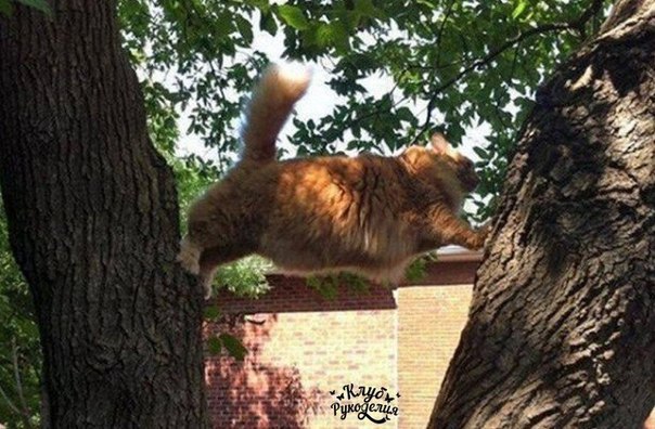 ���� � �������� ��������� - 10