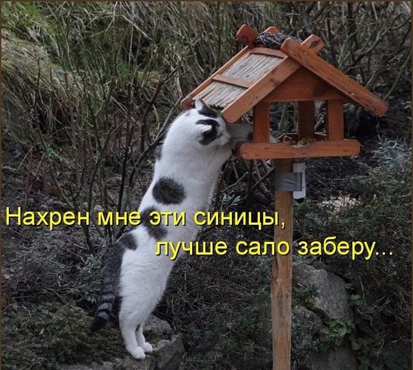       - 23  2015  11:30
