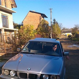 �������, �����, 40 ���