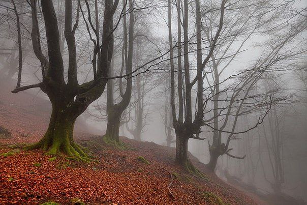    .   (Gorbea Natural Park)     ... - 6