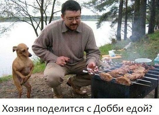  - 13  2015  11:47