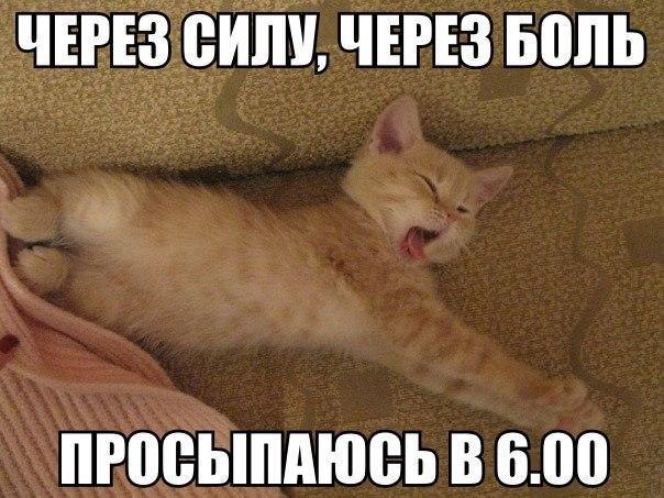   - 9  2015  13:01