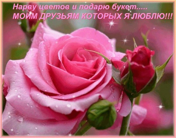 ~Dasha~ - 8  2015  07:58