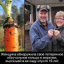 ���� ������, ������� - ��������� 24 ��� 2015 � ������ ������ ��������