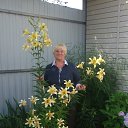 ���� �����, ������� - ��������� 9 ���� 2015 � ������ ���� ����������