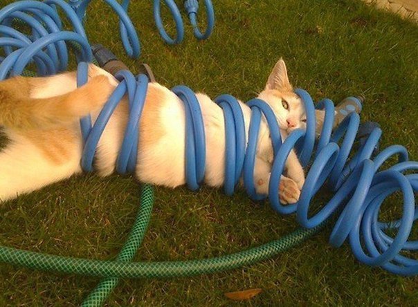 ���� � �������� ��������� - 8