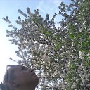  , , 51  -  1  2015    ))) ))