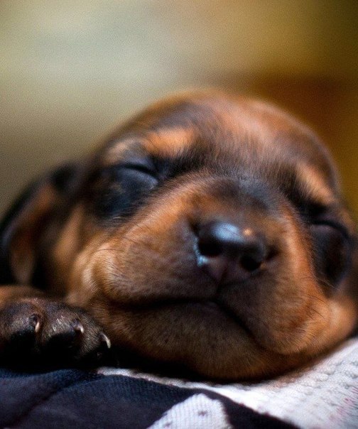          -     " "  -   : https://fotostrana.ru/away?to=/sl/9x2 - 9  2015  09:48