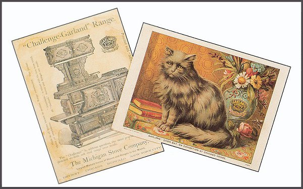 Cat in Old Ilustratives / Кошки на старых иллюстрациях - 8