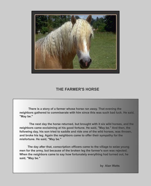    .Inspiring stories - 4