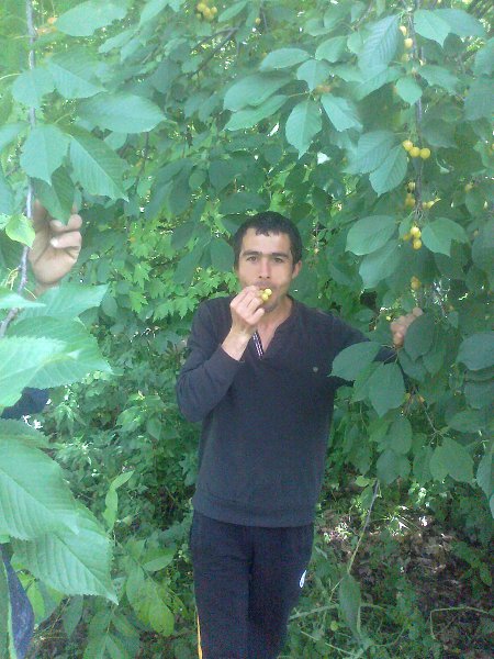: cemali &#231;Elik, 40 ,     