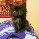 ���� �������, ���������� �����, 65 ��� - ��������� 29 ���� 2015 � ������ ���� ����������