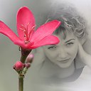 ���� Olga, �������� - ��������� 29 ���� 2015 � ������ ���� ����������