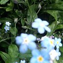 ���� ������, ������������ - ��������� 7 ������� 2015 � ������ ���� ����������