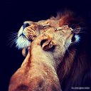 ���� ������ ..., ������ - ��������� 26 ������ 2015 � ������ ���� ����������