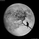 ���� ������, �������, 54 ���� - ��������� 24 �������� 2015 � ������ ���� ����������