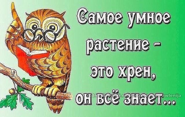    - 4  2015  09:55