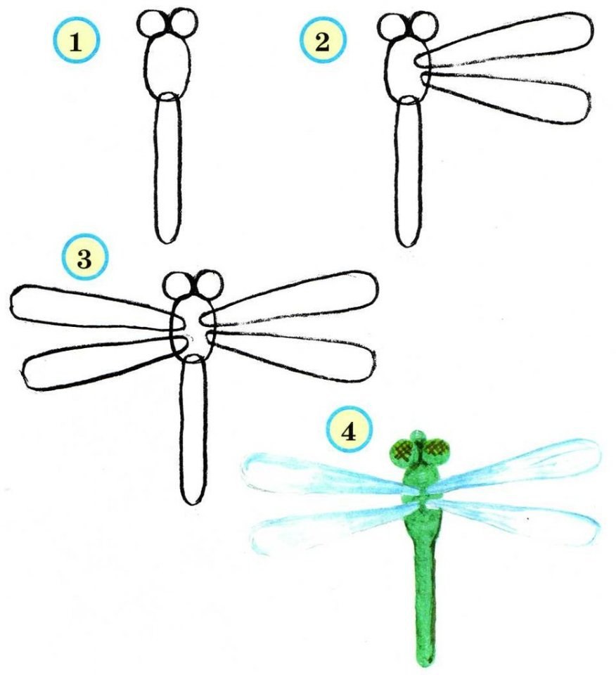Как нарисовать стрекозу