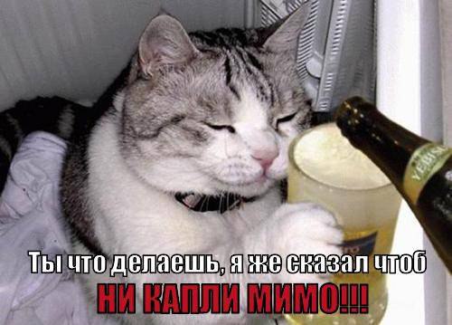   - 5  2015  17:55