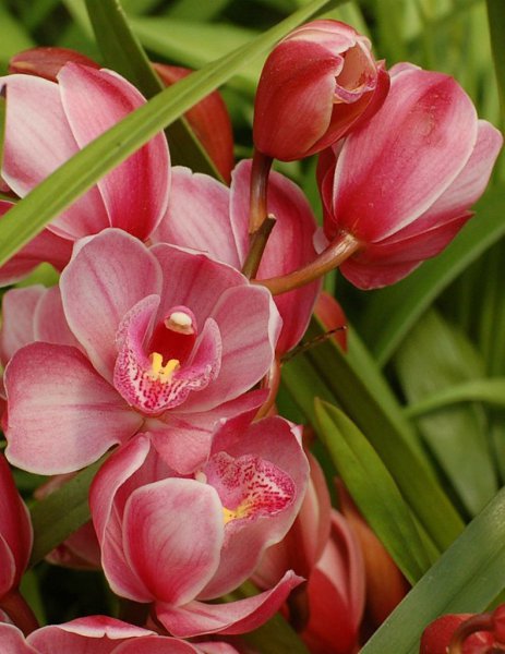   -   ,      !  ,    , ... - 2