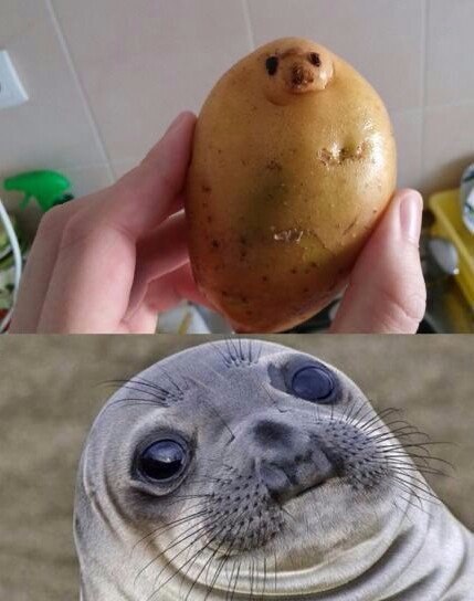  ... )))