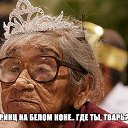 ���� �����, �����, 48 ��� - ��������� 21 ������� 2015 � ������ �12�