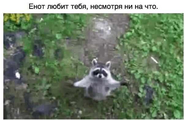 ����� � ��� ����� ����, ������ ������ � �����. �������, ��� � � ������������, � ��� ���� ���� ... - 7