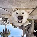 ���� ������, ����������, 49 ��� - ��������� 14 �������� 2015 � ������ ���� ����������