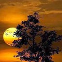 ���� �������, �����-���������, 51 ��� - ��������� 13 ��� 2015 � ������ ���� ����������