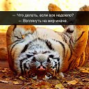 ���� �����, ������, 73 ���� - ��������� 21 �������� 2015 � ������ ������ ��������